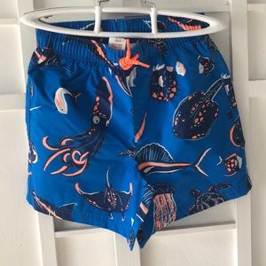 Boys Board shorts so 6-7